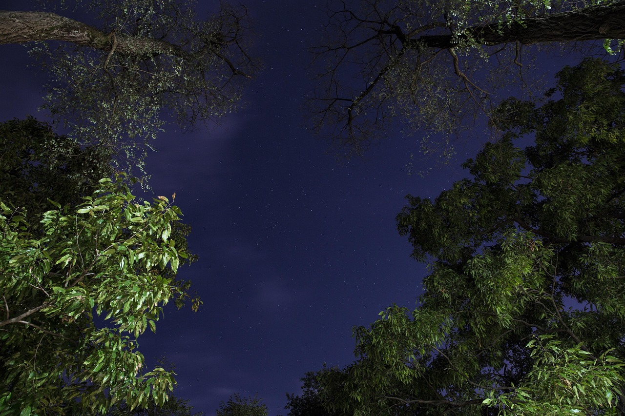 王一博等将亮相华表奖—星光璀璨之夜